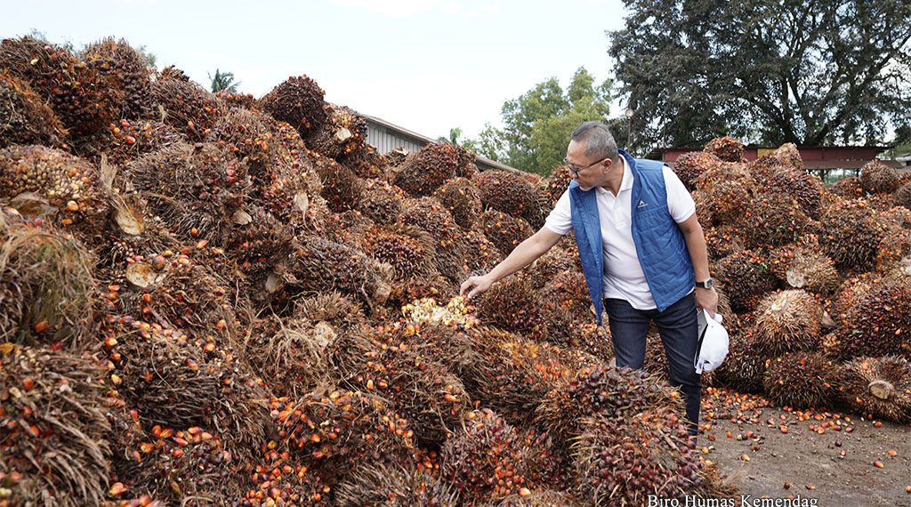 Solusi Kemendag Atasi Masalah Minyak Goreng